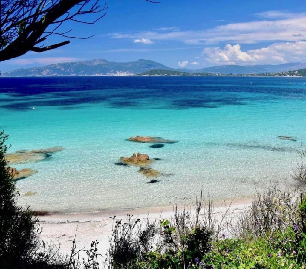 Nouveaute! Magnifique A 2 Minutes Des Belles Plages De La Rive Sud Villa Porticcio (Corsica)